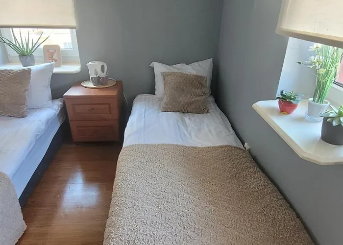 旅馆 Fabryka Slodkosci - 2 梅尔诺